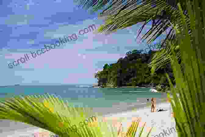 A Beautiful Beach In Costa Rica Retiring In Costa Rica: Or Doctors Dogs Or Pura Vida