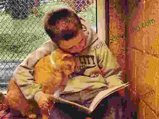 A Child Reading With A Cat Companion 44 Cats: A Cat S Best Friend (I Can Read Level 1)