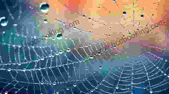 A Close Up Of Intricate Spider Webs, Glistening With Morning Dew, Symbolizing The Interconnectedness Of All Living Things Islands The Universe Home: Essays