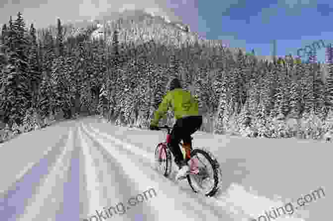 A Cyclist Riding Through A Snow Covered Forest Frostbike: The Joy Pain And Numbness Of Winter Cycling