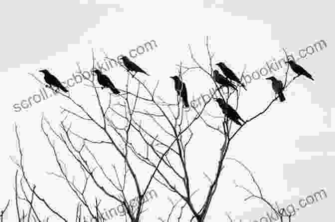 A Flock Of Crows Perched On A Tree Branch, Their Eyes Gleaming With Secrets And Wisdom. A Storytelling Of Crows (Valdemar)