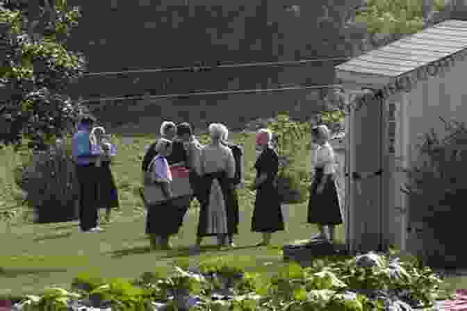 A Group Of Amish Youth Gathered Together A History Of The Amish: Third Edition
