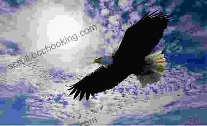 A Majestic Eagle Soaring High In The Sky, Symbolizing Freedom And Soaring Above Limitations The Message Of The Birds