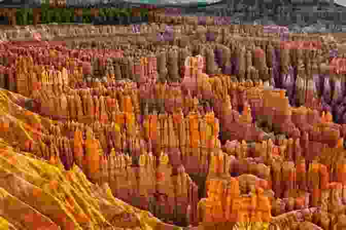 A Picturesque View Of Bryce Canyon's Hoodoos, With Vibrant Colors And Intricate Shapes A Complete Guide To The Grand Circle National Parks: Covering Zion Bryce Capitol Reef Arches Canyonlands Mesa Verde And Grand Canyon National Parks