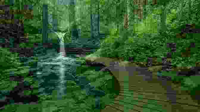 A Serene River Flowing Through A Tranquil Forest, Symbolizing The Journey Of Spirituality And Healing By The Rivers Of Water: A Nineteenth Century Atlantic Odyssey