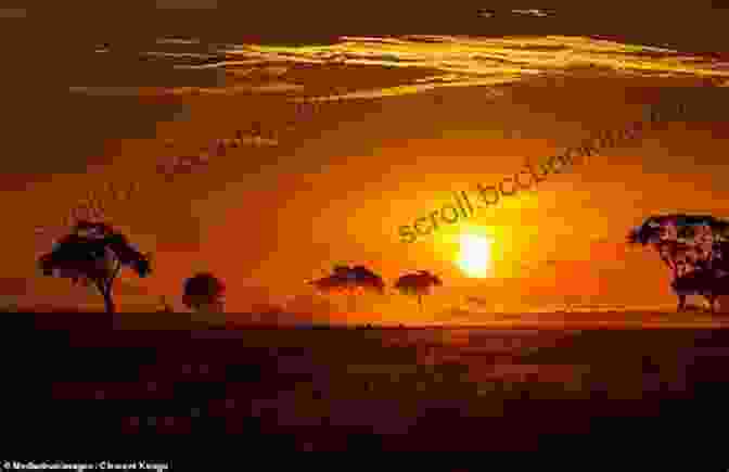A Stunning Sunset Over The African Savanna Girl Of The Wild: Misadventures In The African Bush