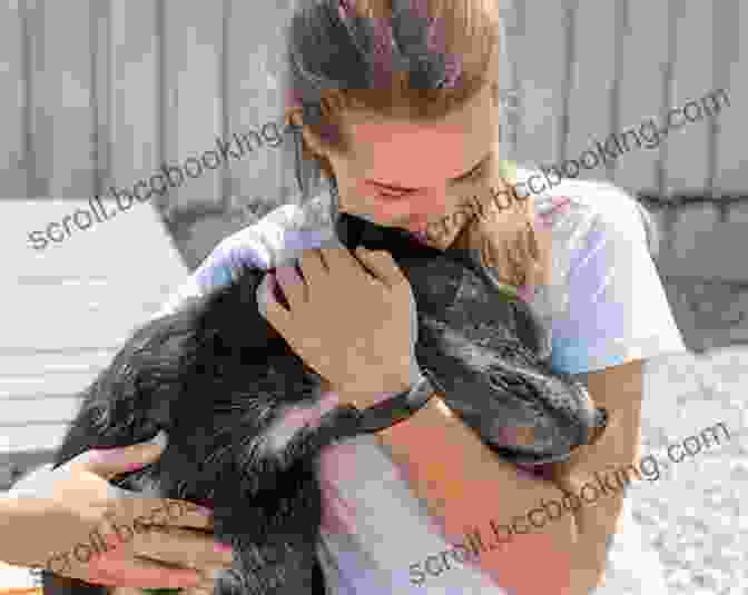 A Woman Hugging Her Rescue Dog Comet S Tale: How The Dog I Rescued Saved My Life