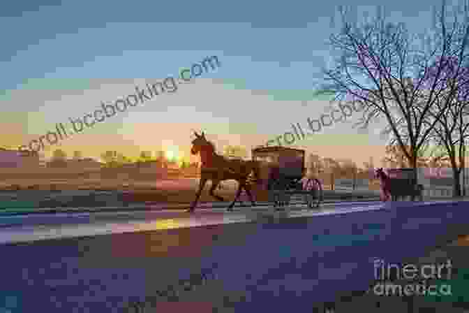 An Amish Buggy On A Rural Road A History Of The Amish: Third Edition