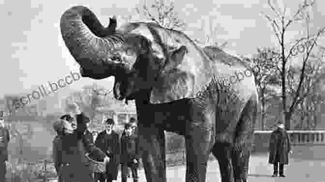 An Iconic Photograph Of Jumbo, The African Elephant, Standing In Front Of A Crowd Of People. Modoc: True Story Of The Greatest Elephant That Ever Lived