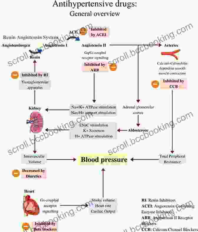 Antihypertensives: Lower Blood Pressure Meded101 Guide To Nursing Pharmacology