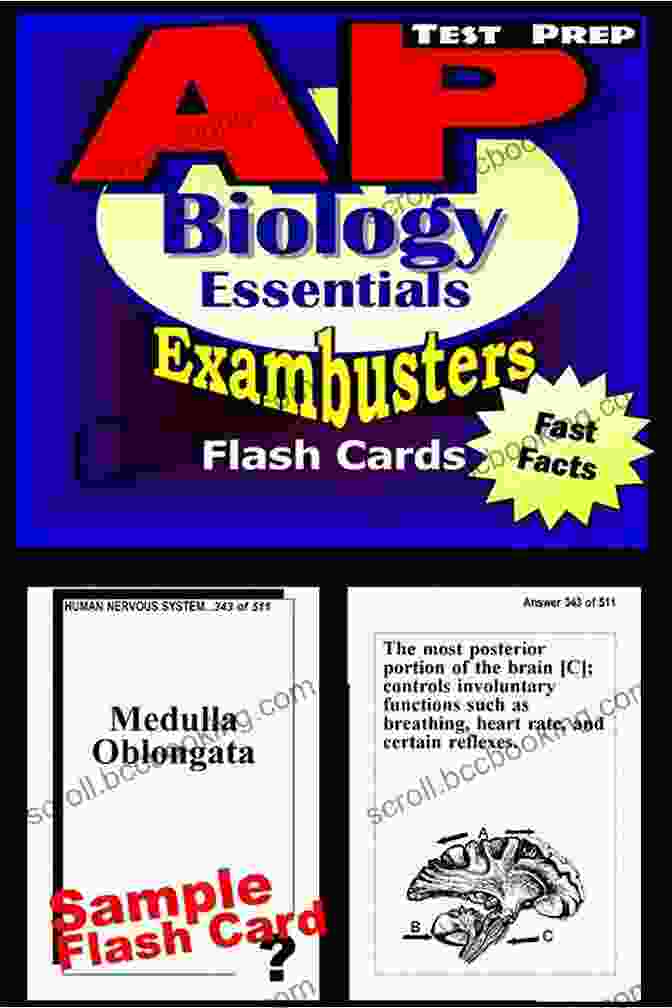 AP Biology Flash Cards AP Prep Test BIOLOGY Flash Cards CRAM NOW AP Exam Review Study Guide (Cram Now Advanced Placement Study Guide)