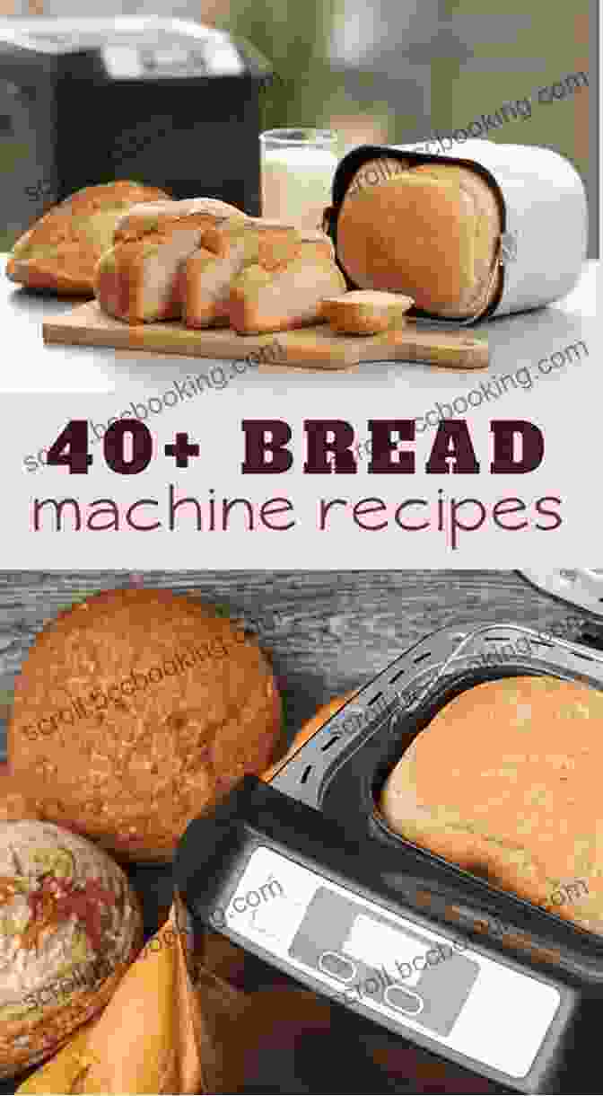 Author Bio Bread Machine Cookbook: 50+ Amazingly Delicious Bread Machine Recipes