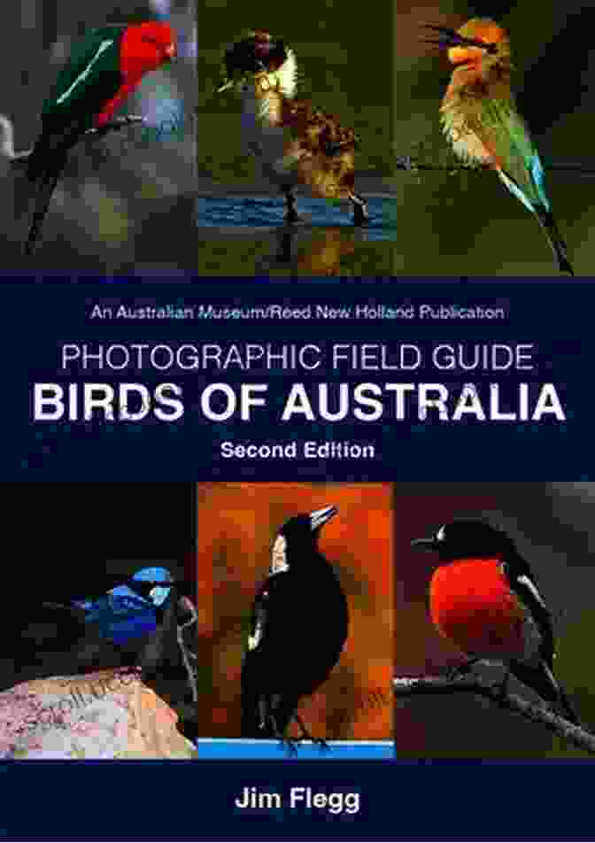 Birds Of Australia Photographic Guide Birds Of Australia: A Photographic Guide