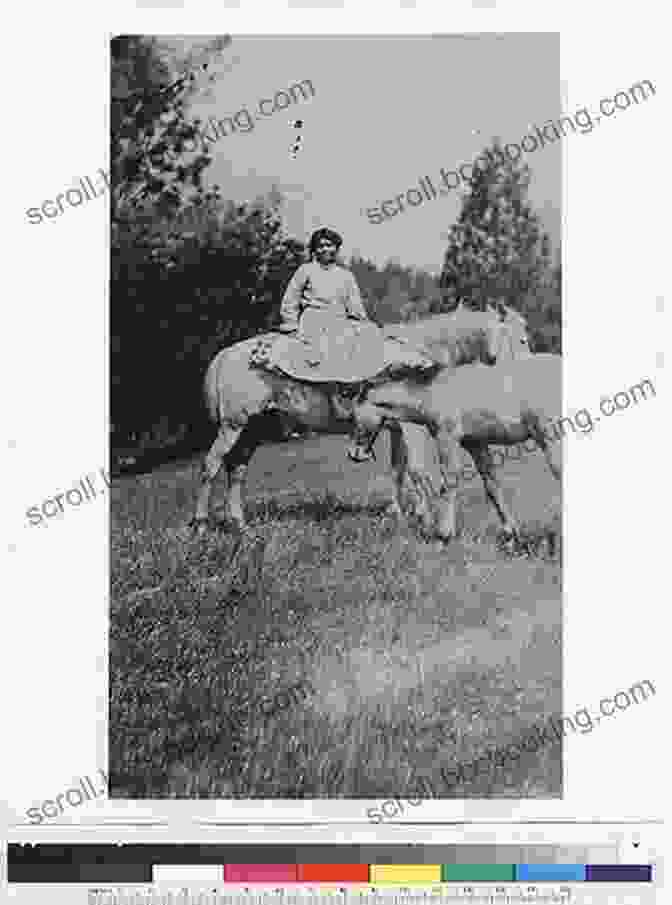 Black And White Photo Of A Frontier Woman Astride A Horse, Showcasing The Spirit Of Adventure And Freedom In The Wild West Rotgut Rustlers: Whiskey Women And Wild Times In The West