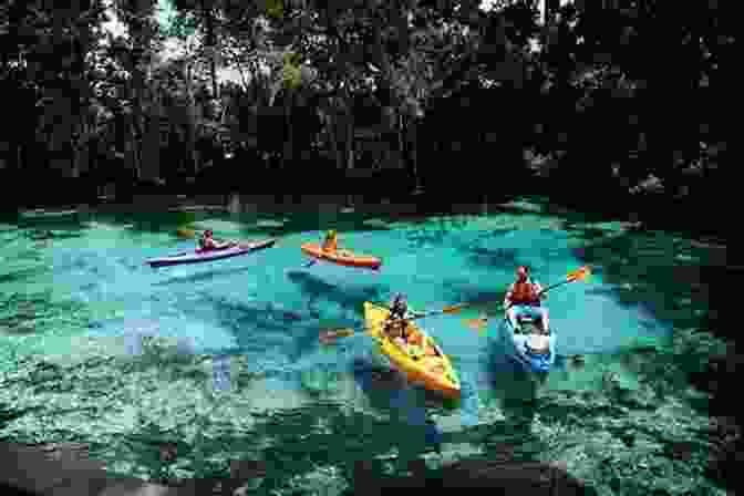 Canoeing And Kayaking In Florida Canoeing Kayaking Florida (Canoe And Kayak Series)