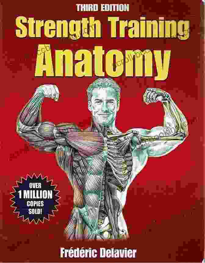 Cover Of 'Anatomy Of Strength Training' By Pat Manocchia Anatomy Of Strength Training Pat Manocchia