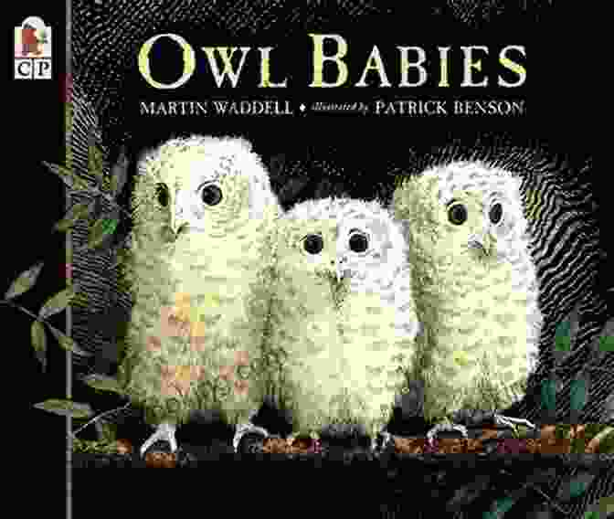 Cover Of The Book 'Owl Babies' By Martin Waddell, Featuring Three Owlets Peering Out Of A Tree Hollow Owl Babies Martin Waddell