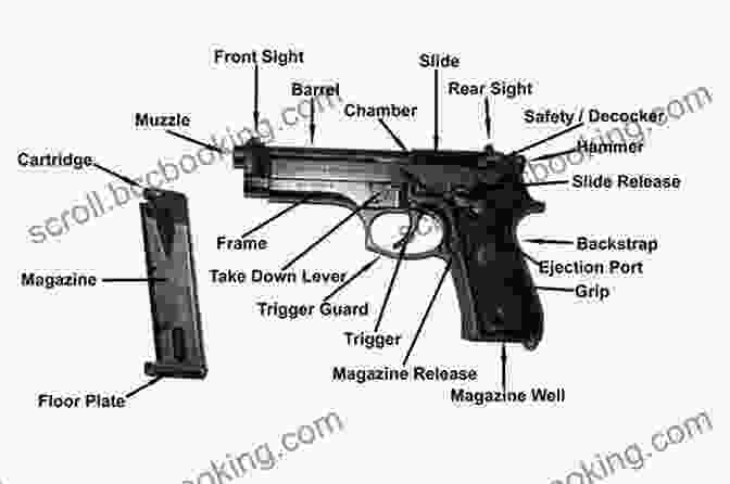 Detailed Diagram Of Firearm Anatomy Custom Gunsmithing For Self Defense Firearms