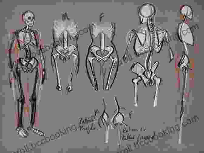 Detailed Study Of Human Anatomy For Fantasy Character Drawing Mastering Fantasy Art Drawing Dynamic Characters: People Poses Creatures And More