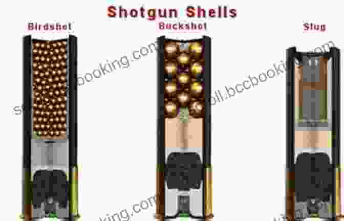 Diagram Of Shotgun Ballistics Fine Shotguns: The History Science And Art Of The Finest Shotguns From Around The World