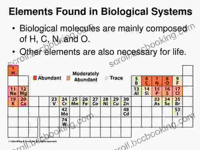 Elements In Biological Systems The Periodic Table: A Field Guide To The Elements