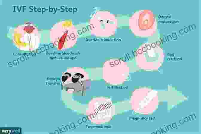 Embryo Transfer Coping With IVF: Step By Step Tips For 1st Time IVF Success: Fertility Infertility