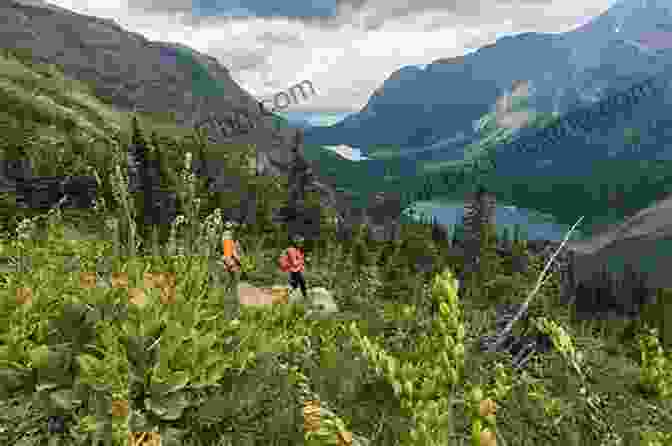 Hikers Traversing A Scenic Trail In Glacier National Park Hiking Glacier And Waterton Lakes National Parks: A Guide To The Parks Greatest Hiking Adventures (Regional Hiking Series)