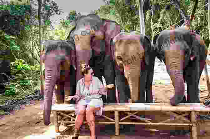 Hope Haven Elephant Sanctuary Hope Haven (Thunder: An Elephant S Journey 3)