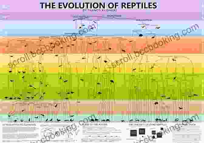 Illustrating The Evolutionary Journey Of Reptiles Amphibians And Reptiles: A Compare And Contrast