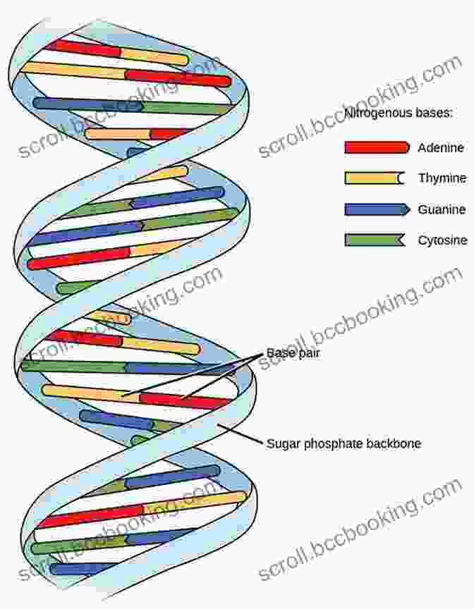 Image Of A DNA Double Helix Representing The Mapping Of The Human Genome The Stem Cell Dilemma: The Scientific Breakthroughs Ethical Concerns Political Tensions And Hope Surrounding Stem Cell Research