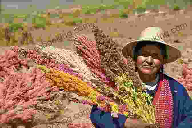Indigenous Farmers Cultivating Quinoa In The Andes Mountains The Quinoa Chronicles: How A Humble Food From The High Andes Became A Worldwide Sensation
