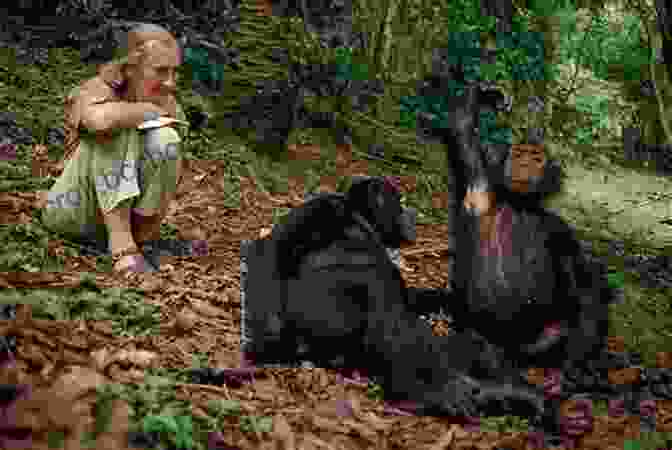 Jane Goodall Studying Chimpanzees In The Gombe Stream National Park Jane Goodall (Great Women In History)