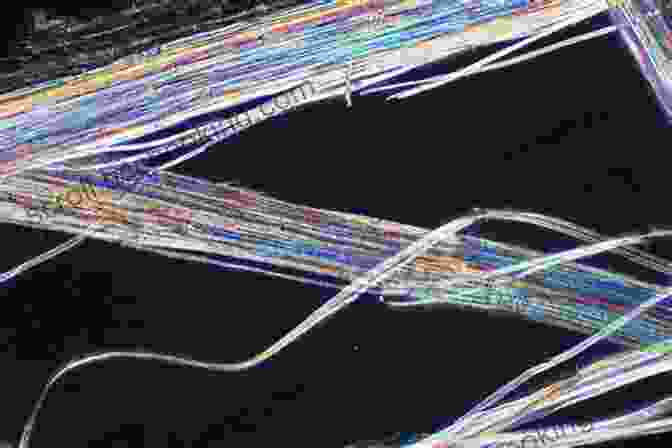 Microscopic Image Of Canvas Fibers Showing Degradation Due To Environmental Factors The Science For Conservators Series: Volume 2: Cleaning (Heritage: Care Preservation Management)