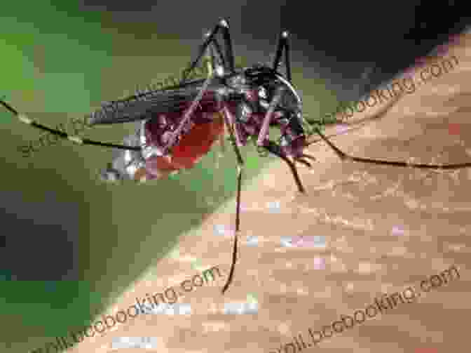 Mosquito, One Of The Deadliest Insects In The World Super Bug Encyclopedia: The Biggest Fastest Deadliest Creepy Crawlers On The Planet (Super Encyclopedias)