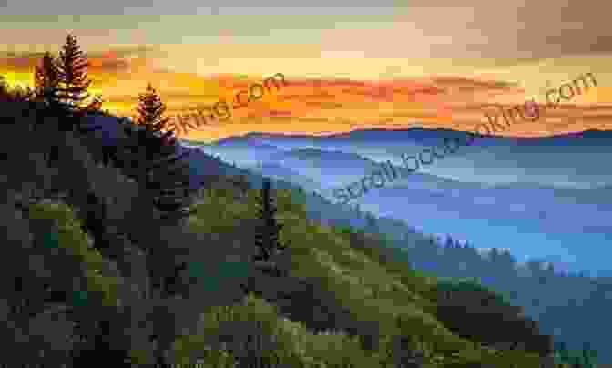Panoramic View Of The Great Smoky Mountains My Smokies: A Guide To Enjoy The Smokies From A Smoky Mountain Girl