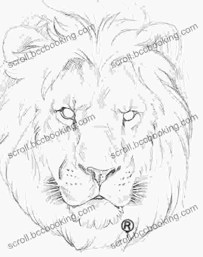 Pen And Marker Drawing Of A Lion Learn To Draw Realistic Animals With Pen Marker: From An Armadillo To A Zebra 26 Animals To Discover Draw