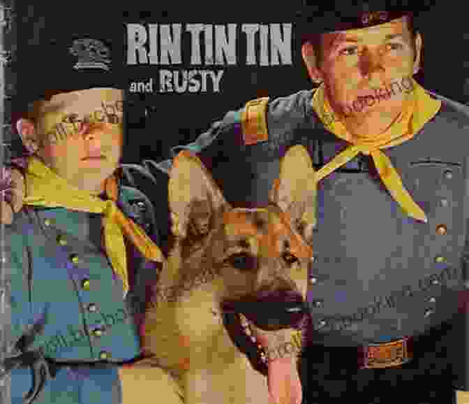 Rin Tin Tin, The Iconic German Shepherd, Stands Proudly In A Classic Pose. The Beauty Of The Beasts: Tales Of Hollywood S Wild Animal Stars