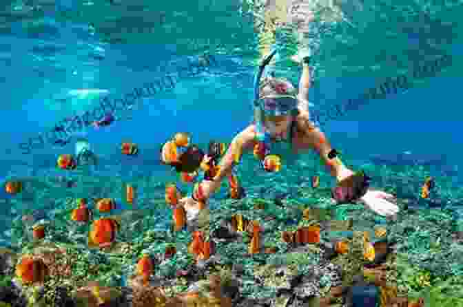 Snorkeler Exploring The Vibrant Coral Reefs And Marine Life In The U.S. Virgin Islands The Island Hopping Digital Guide To The Virgin Islands Part I The United States Virgin Islands: Including St Thomas St John And St Croix