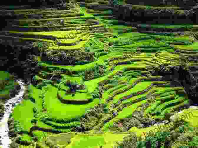 Terraced Rice Paddies In Banaue Time To Travel To The Philippines : Picture Perfect Paradise