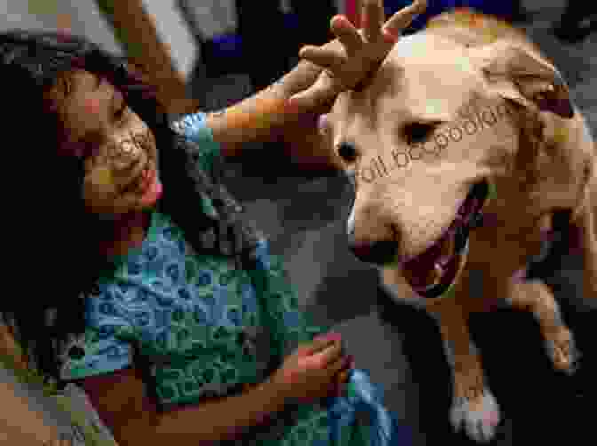 The Power Of Touch Can Heal Both Humans And Dogs. Dancing With The Dog: A Journey In Latin America 1996 1998