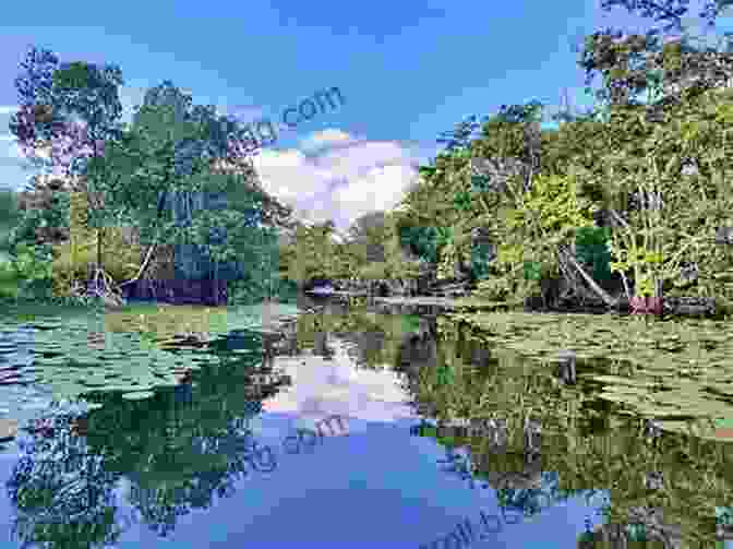 The Tranquil Waters Of Rio Dulce Colombia To Rio Dulce Cruising Guide: With Routes And Stops Along The Way
