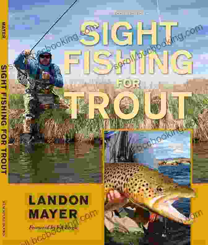 Trout Fisherman's Guide, 2nd Edition Soft Hackled Fly The: And Tiny Soft Hackles: A Trout Fisherman S Guide 2nd Edition