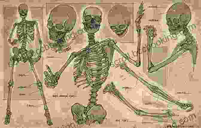 Understanding Skeletal Structures For Natural And Dynamic Poses Mastering Fantasy Art Drawing Dynamic Characters: People Poses Creatures And More