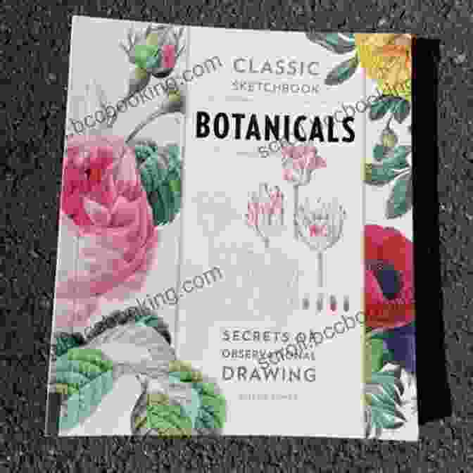 Unlock The Secrets Of Observational Drawing With Classic Sketchbook: Botanicals: Secrets Of Observational Drawing