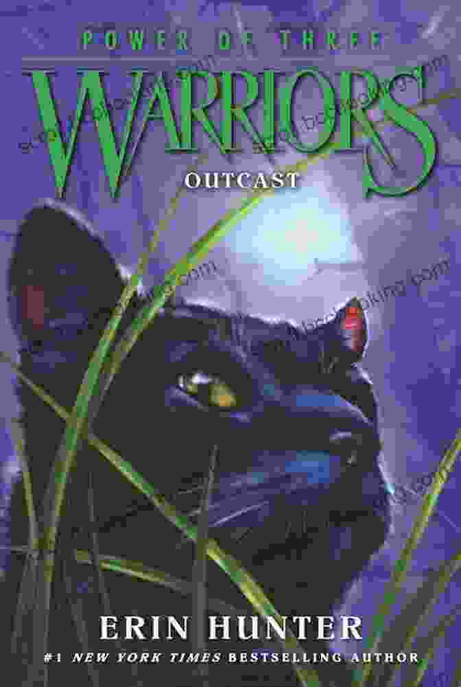 Warriors: Power Of Three Outcast Book Cover Warriors: Power Of Three #3: Outcast