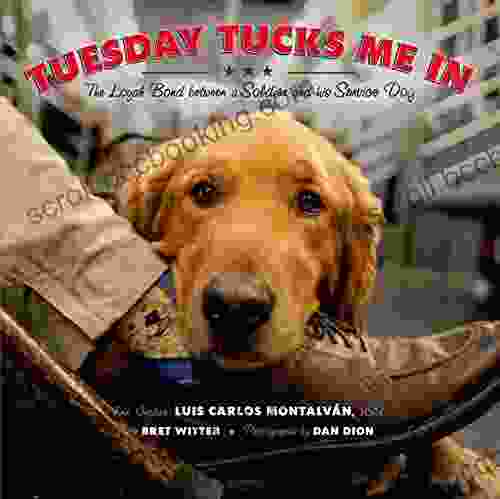 Tuesday Tucks Me In: The Loyal Bond Between A Soldier And His Service Dog