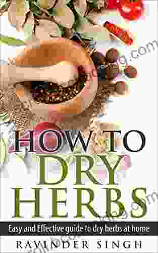 How To Dry Herbs?: Easy And Effective Guide To Dry Herbs At Home (How To Dry Herbs At Home How To Dry Foods)