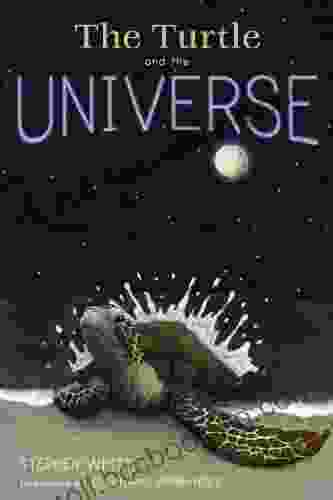 The Turtle And The Universe